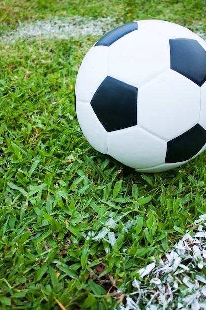 极速体育 App 界面